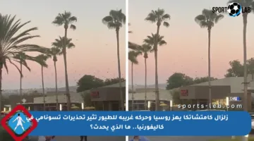 زلزال كامتشاتكا يهز روسيا وحركة غريبة للطيور تثير تحذيرات تسونامي في كاليفورنيا.. ما الذي يحدث؟